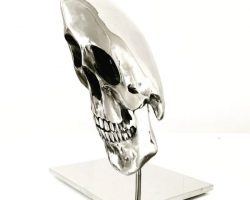 41 Louis Pratt The Ambassador s Skull