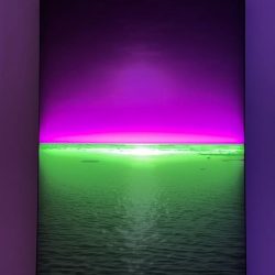 22.Ilan El - Horizon 17.$15,000