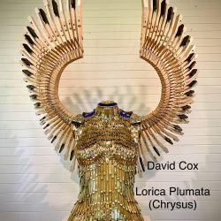 55.David Cox - Lorica Plumata.$8880